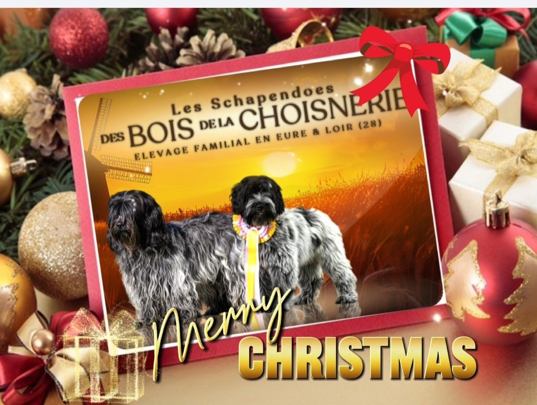 Des Bois De La Choisnerie - Joyeux Noël