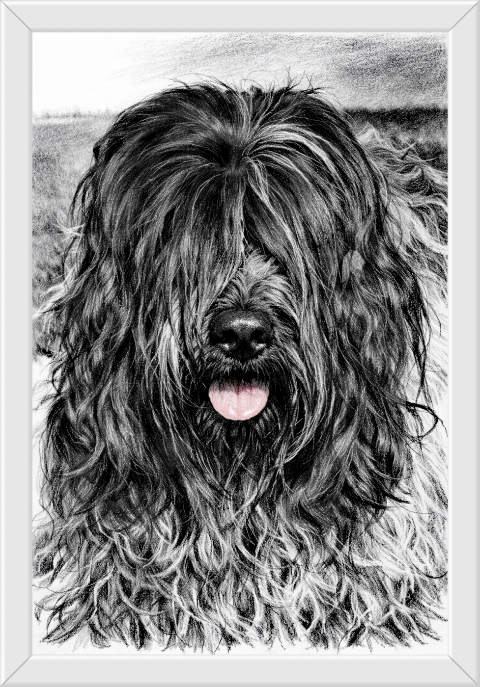 Thylia Litha Grise Du Bois des Nonnes