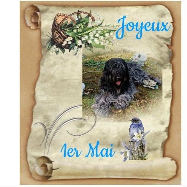 Joyeux 1er Mai